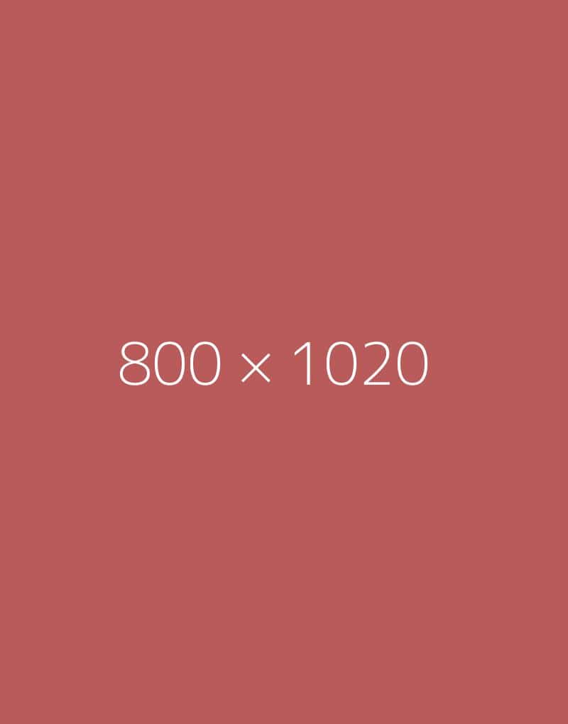 hongo-800×1020-e-ph