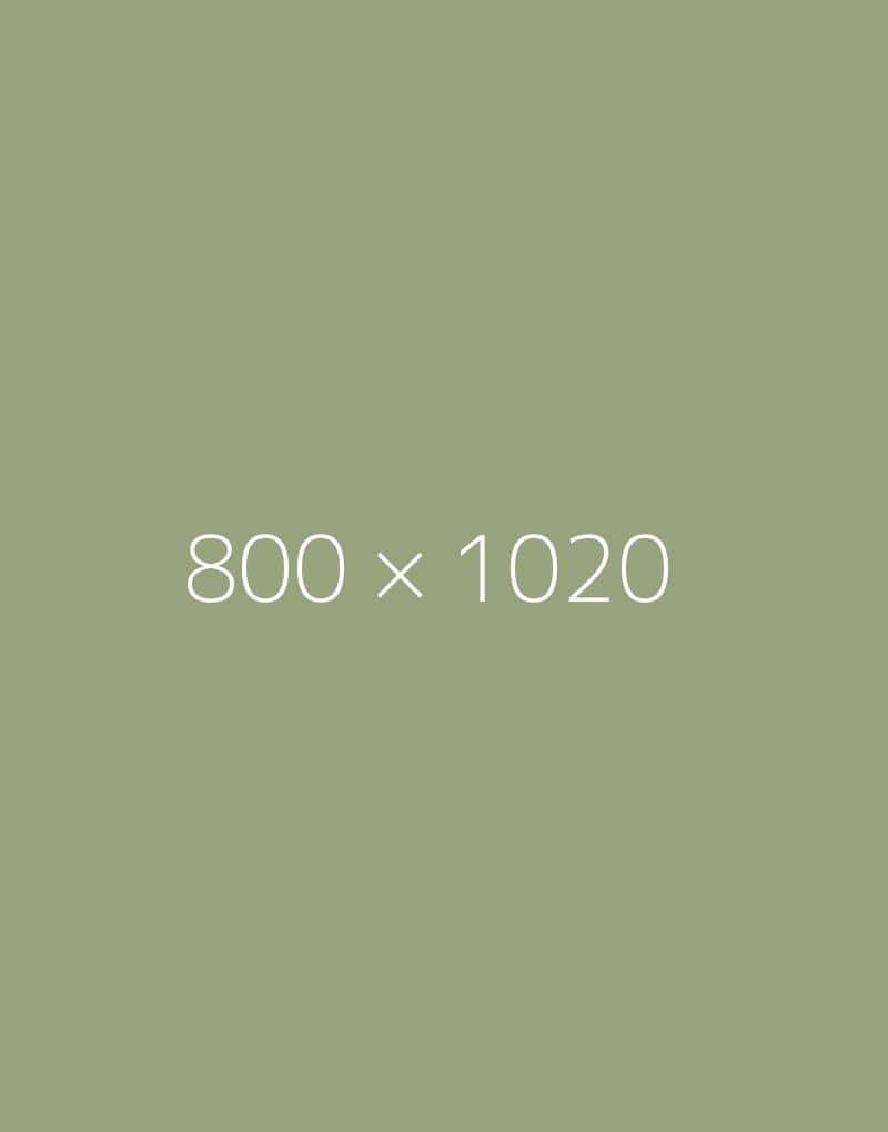 hongo 800×1020-b-ph